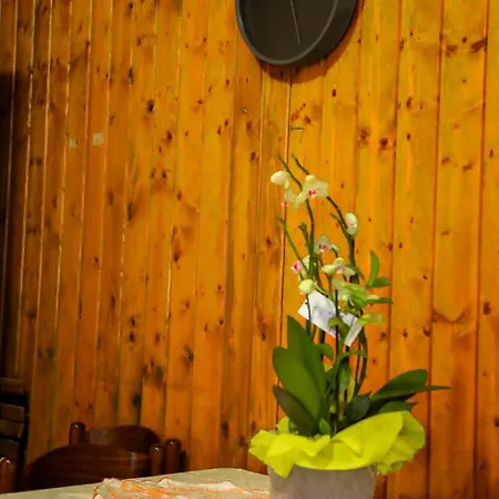 The Courtyard Retreat