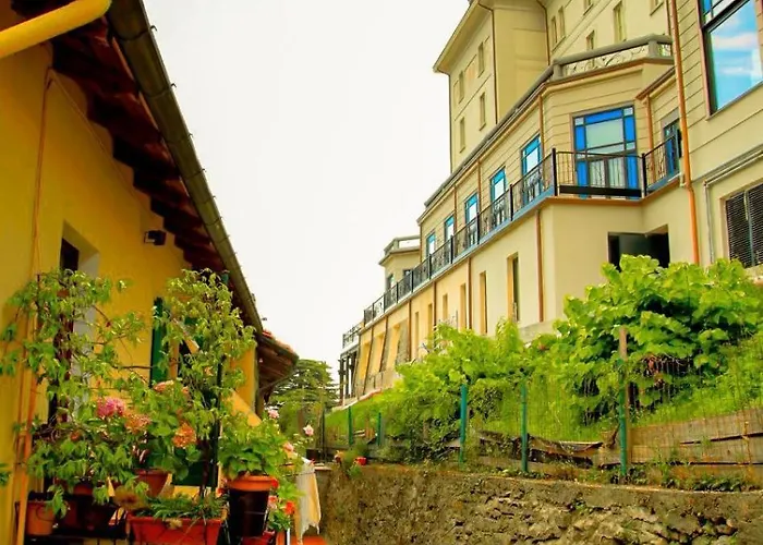 The Courtyard Retreat