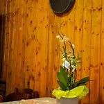 The Courtyard Retreat