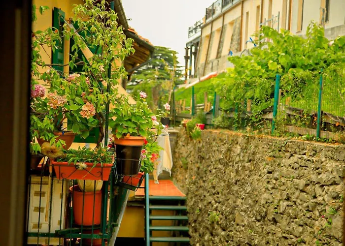 The Courtyard Retreat