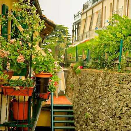 The Courtyard Retreat